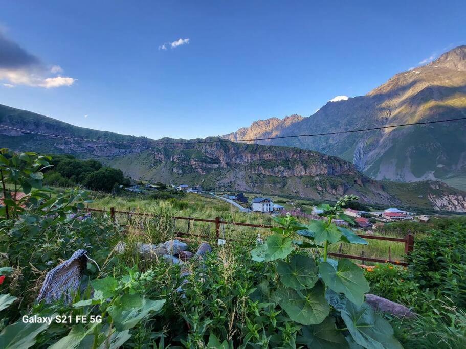 Peak House Villa Kazbegi Kültér fotó