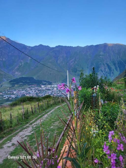 Peak House Villa Kazbegi Kültér fotó